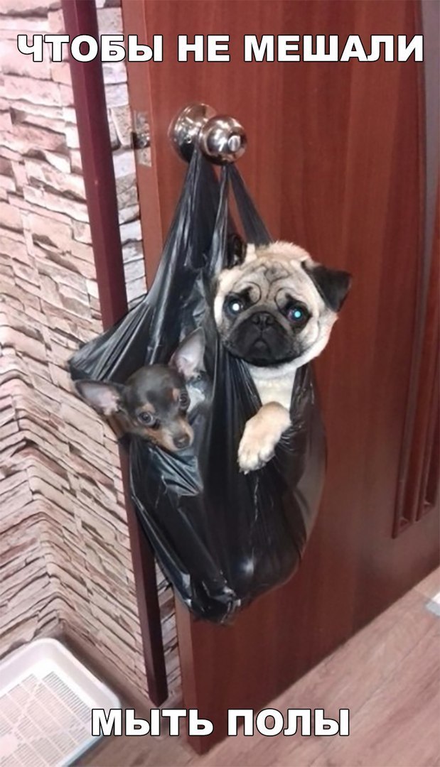 НЕ МЕШАЛИ