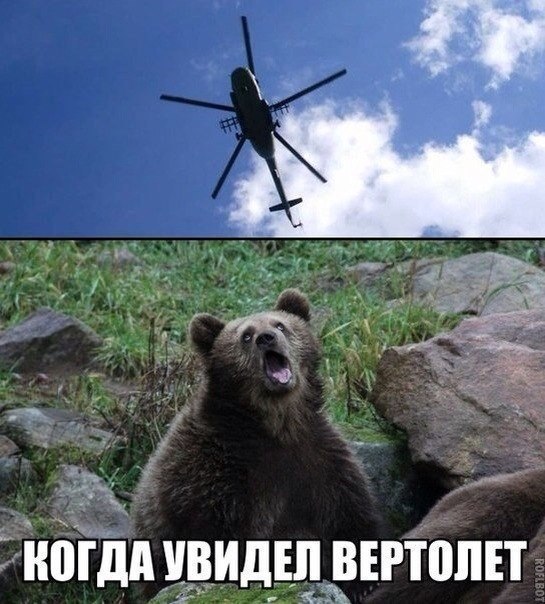 _а 40Тдд ВИДЕЛ ВЕРТШТЕТ 30 в