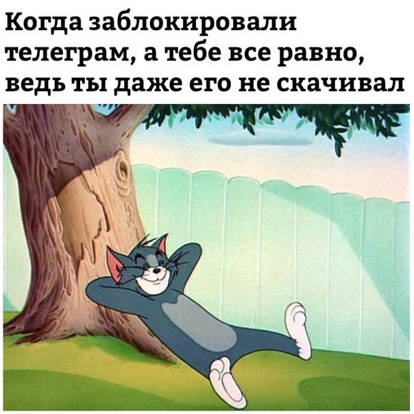 Когда заблокировали телеграм а тебе все равно ведь ты даже его не скачивал