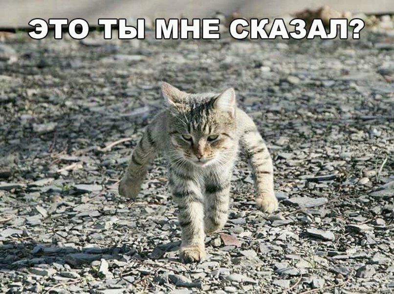 чо КАЗ с