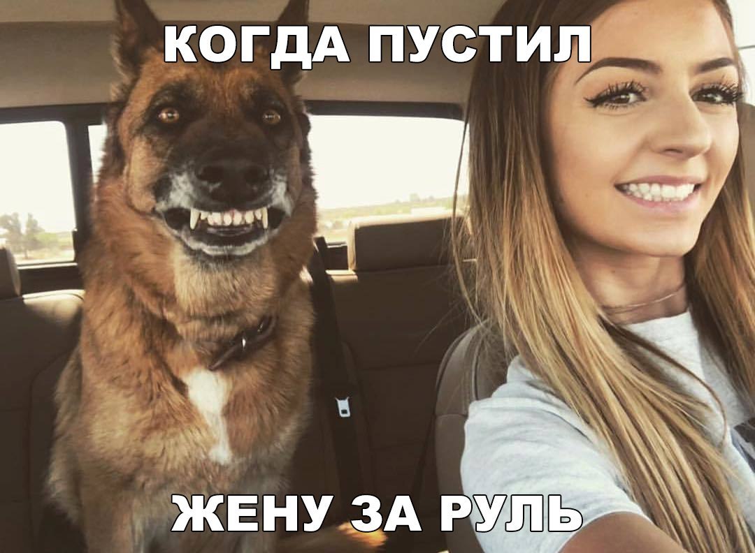 КОГДА ПУСТИЛЯ и К КЕНУ ЗА РУД