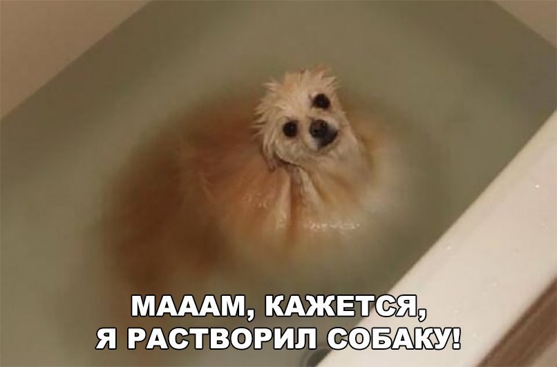 МАААМ КАЖЕТФчЯ Я РАСТВОРИЛ ОФБАЮУ