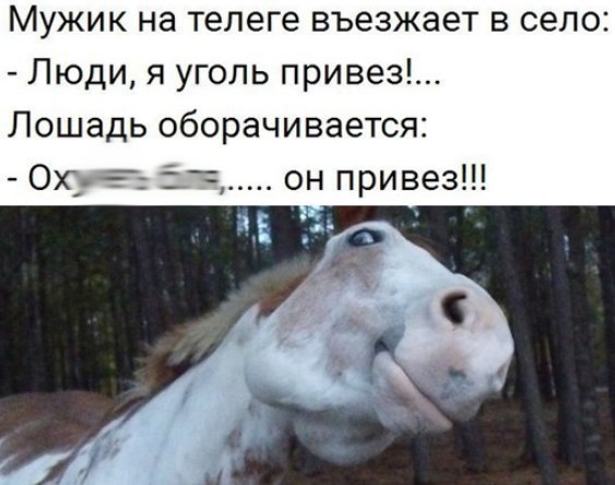 Мужик на телеге въезжает в село Люди я уголь привез Лошадь оборачивается Орт і он привез