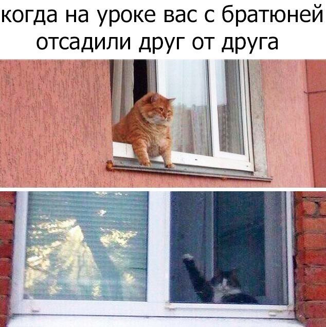 когда на уроке вас с братюней отсадили друг от друга