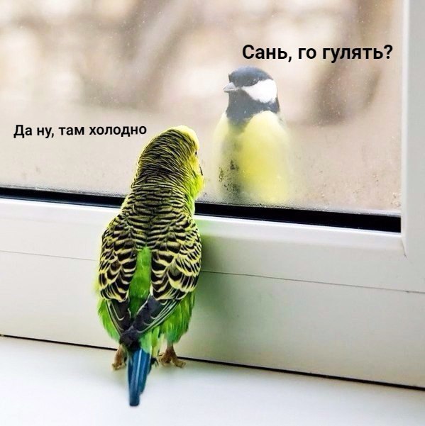 Сань го гулять 1 Да ну там холодно