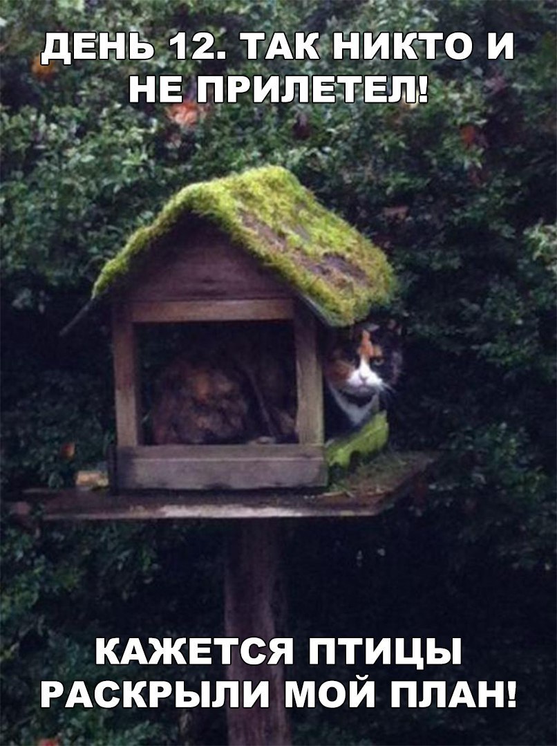 ч г1ё_3с а ч 9 у 7 дБ в 12 тдюникто и _НЕ ПРИПЕТЕЛ _1_ щ _ КАЖЕТСЯ ПТИЦЫ РАСКРЫПИ МОЙ ПЛАН