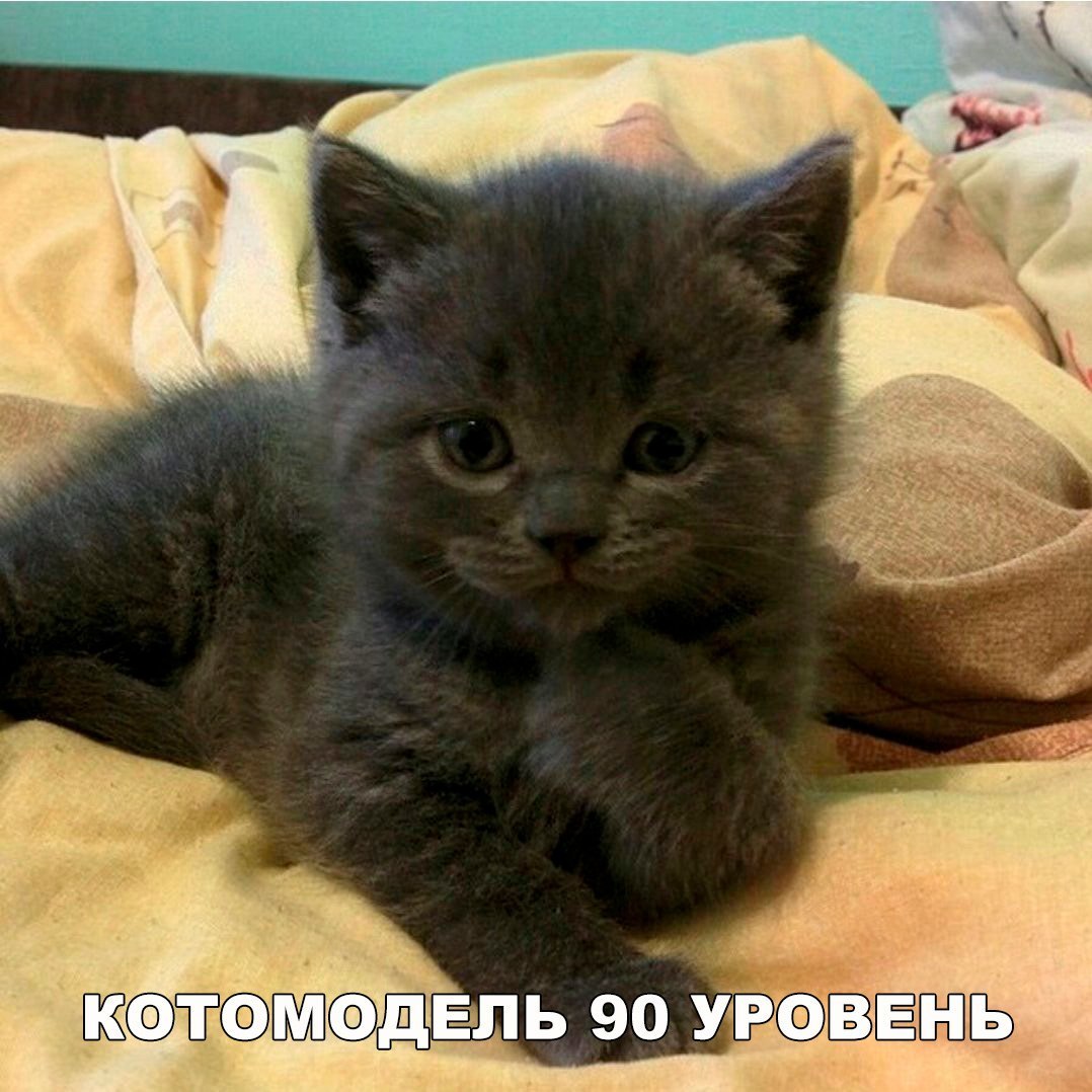 тфэшифэвпь 90 УР