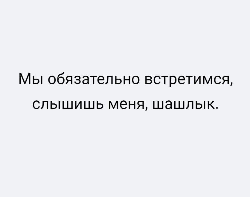 Мы обязательно встретимся слышишь меня шашлык