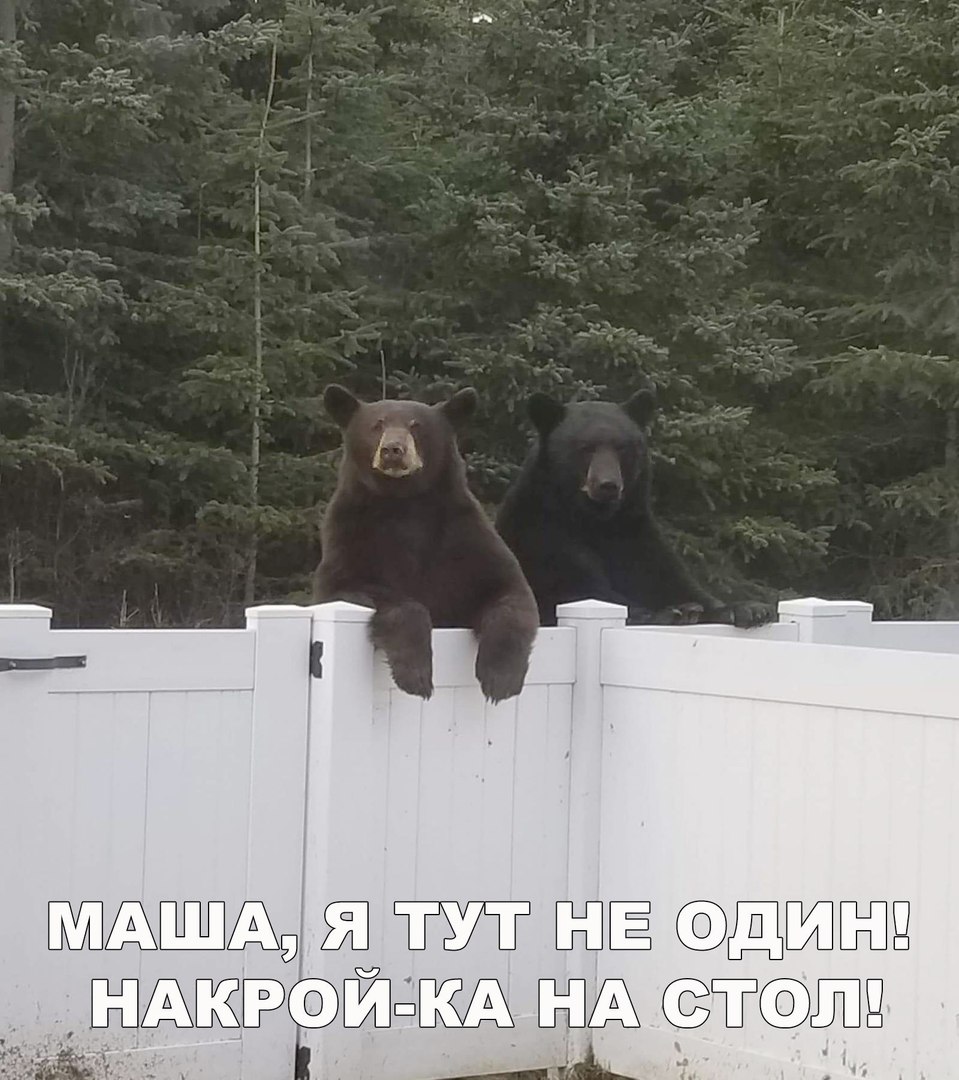 ША9 Ёд