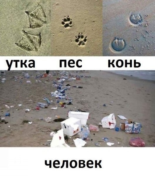 человек