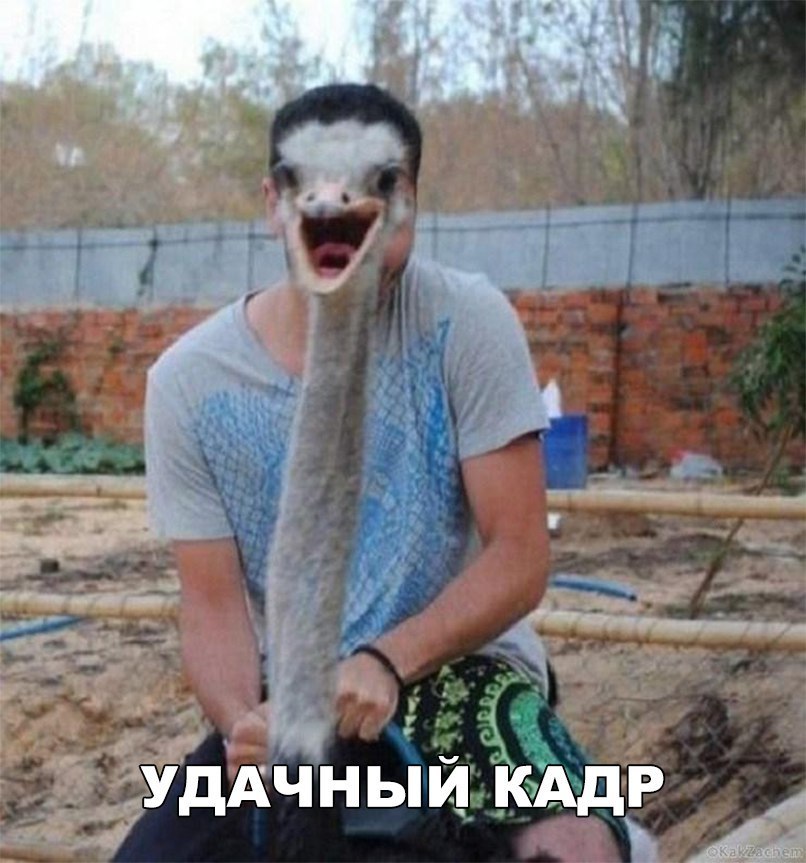 __ Кг дчныикддр
