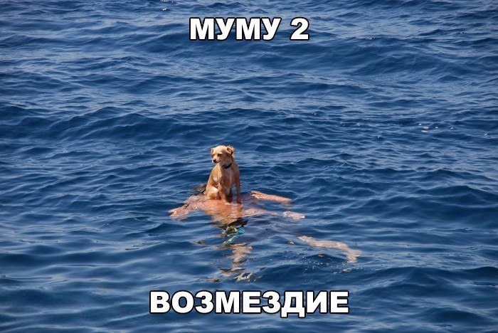 ___ Авомвздиг ____ т__