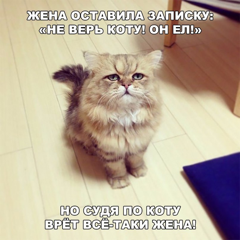 _ ТГШШ ЗАПИСКУЬ ШФ ЗШЁЦ ЗСЁЁпіГШЕЮ