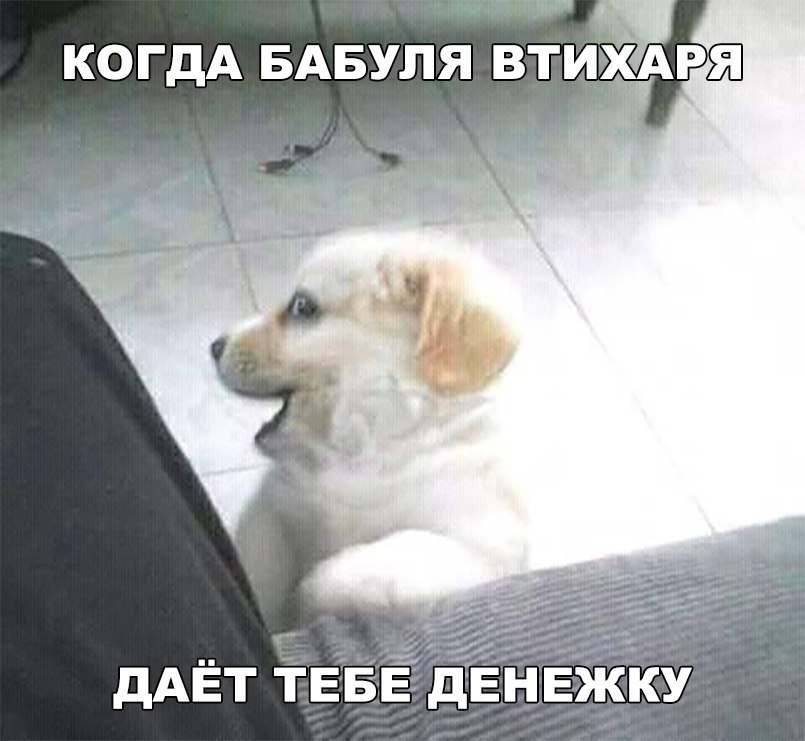 КОГДА БАБУЛЯ ВТИАРЯ дАЁТ іЁБЁ д нвжку