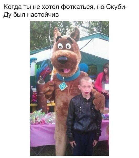 Когда ты не хотел фоткаться но Скуби Ду бып настойчив