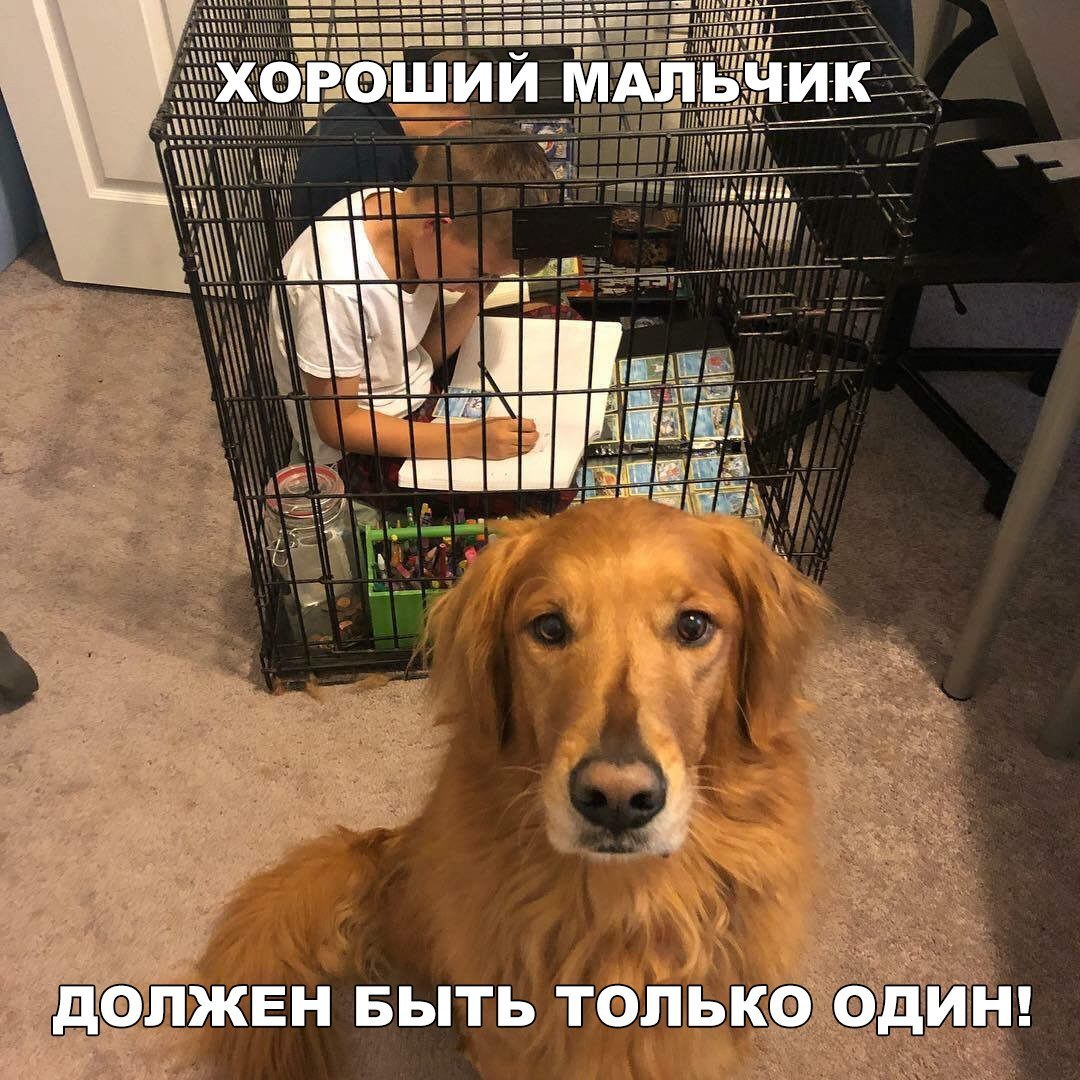 2 _ ГЦ д _ МАЕ _ М_іф ДФЛЖЕН БЫТЬ толвка иь