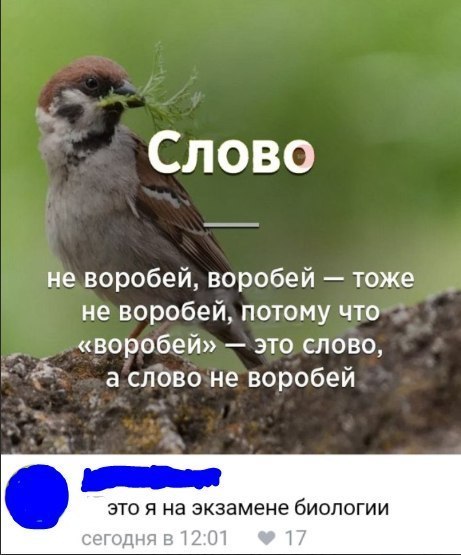 Слово не воробей воробей тоже не воробей потому что воробей это слово а слово не воробей ЗТО Я на экзамене бИОПОГИИ