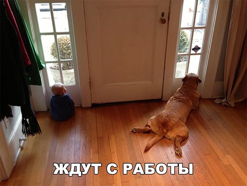 ЖДУТ С РАБОТЫ Же