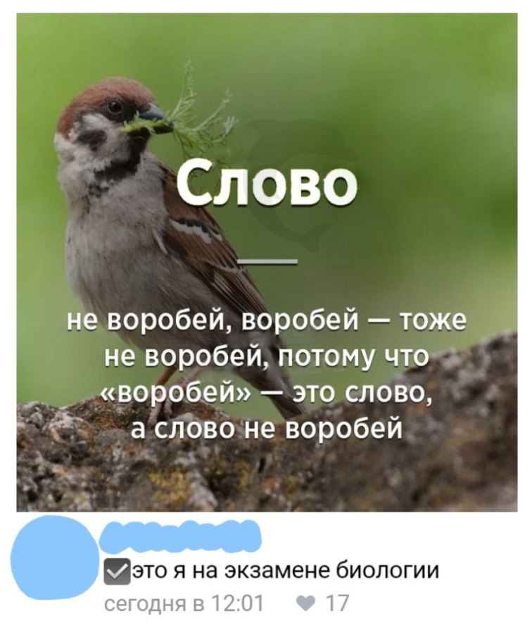 7 о То не воробей воробей тоже неворобей потому что воробей это слово Ко о Хе 1е ое оГ у это я на экзамене биологии сегодня в 1201 ФФ 17