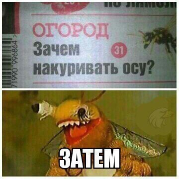 В КОГОРОД Зачем накуривать 00