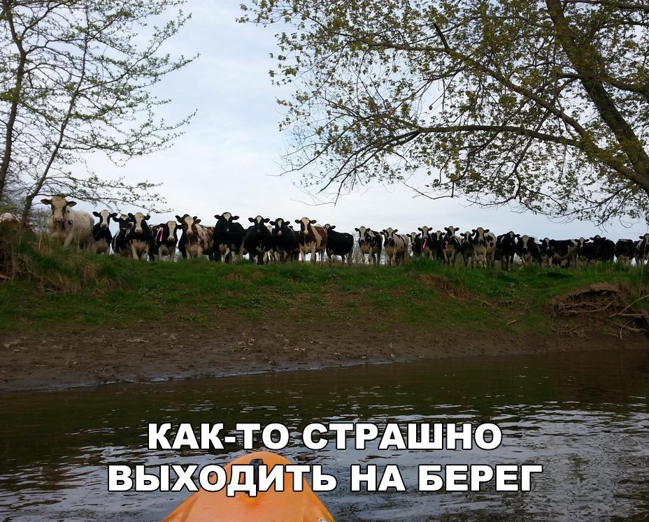 НА БЕРЕГ