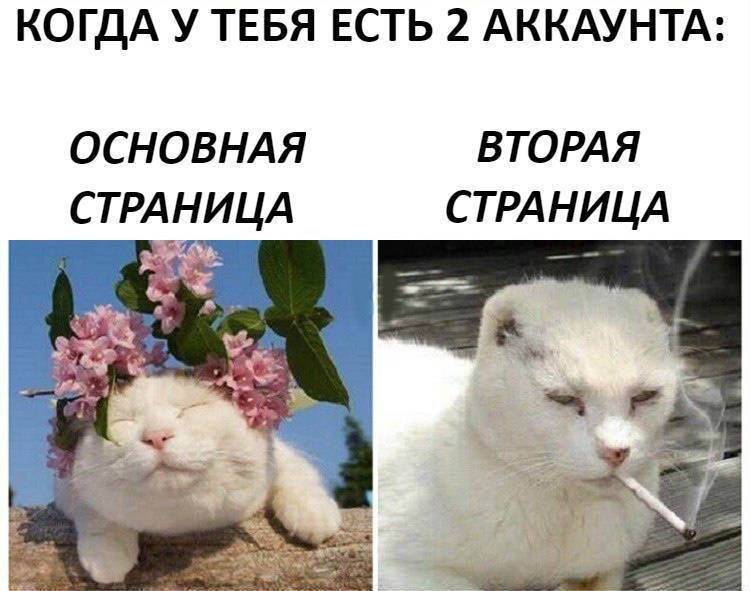 КОГДА У ТЕБЯ ЕСТЬ 2 АККАУНТА ОСНОВНАЯ ВТОРАЯ СТРАНИЦА СТРАНИЦА