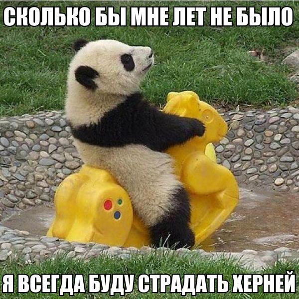 снопыю ными ппнъ ныло 1 вендддщ щадитьищю ___
