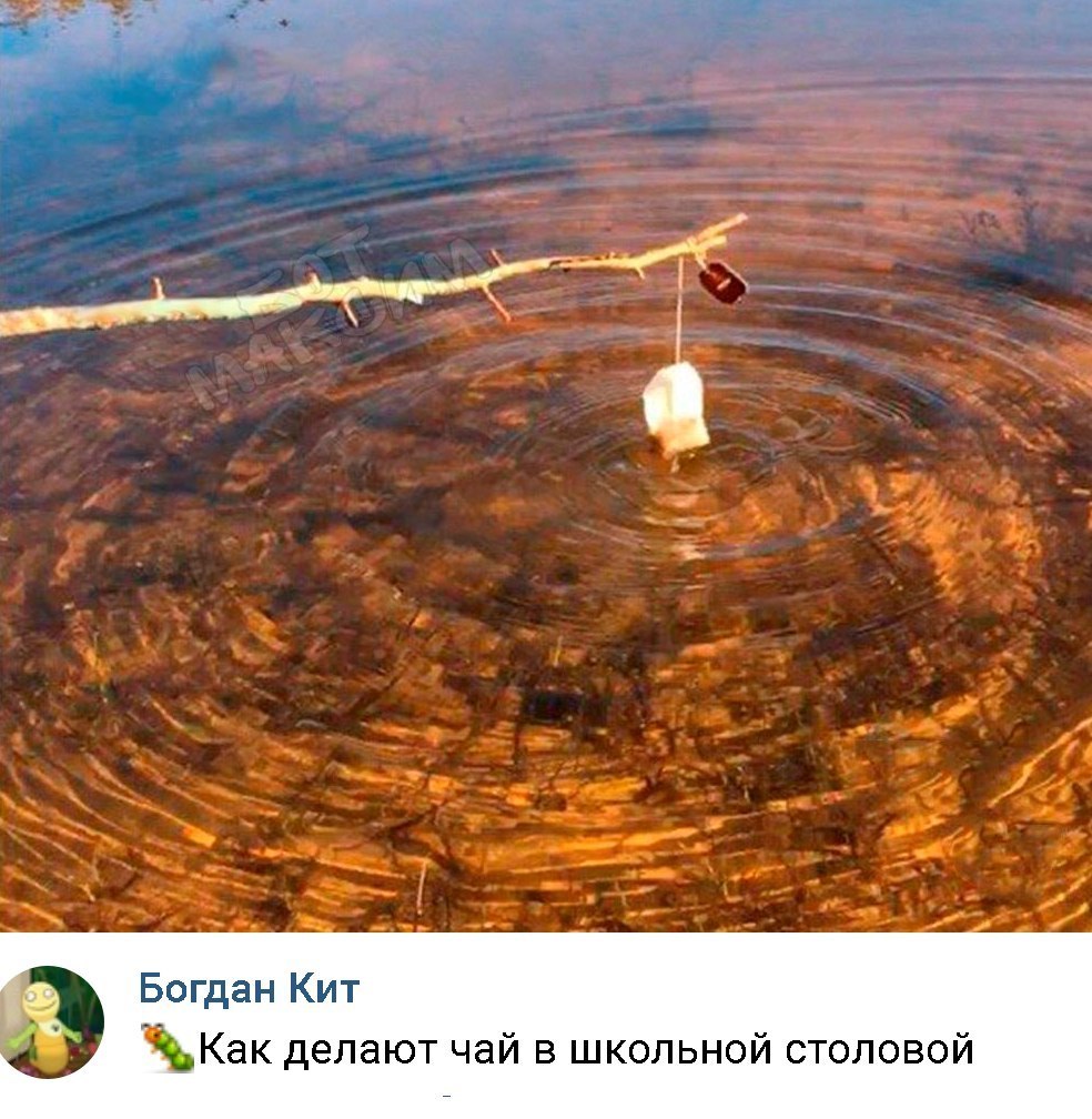 Богдан Кит Как делают чай в школьной столовой