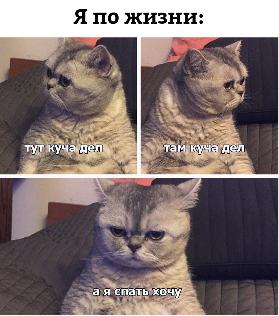 Я по жизни