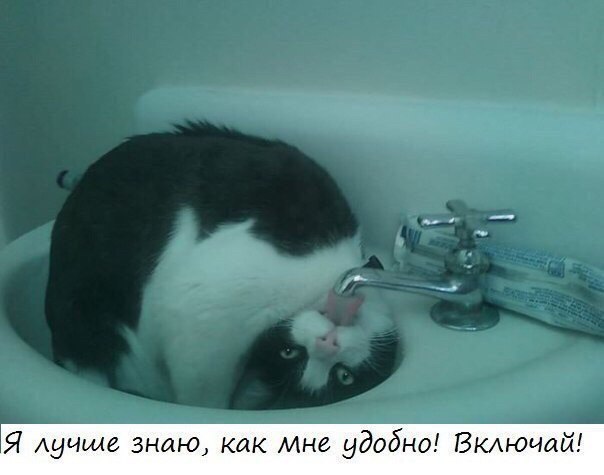 Я лучше знаю как Мне удобно Вкдючай