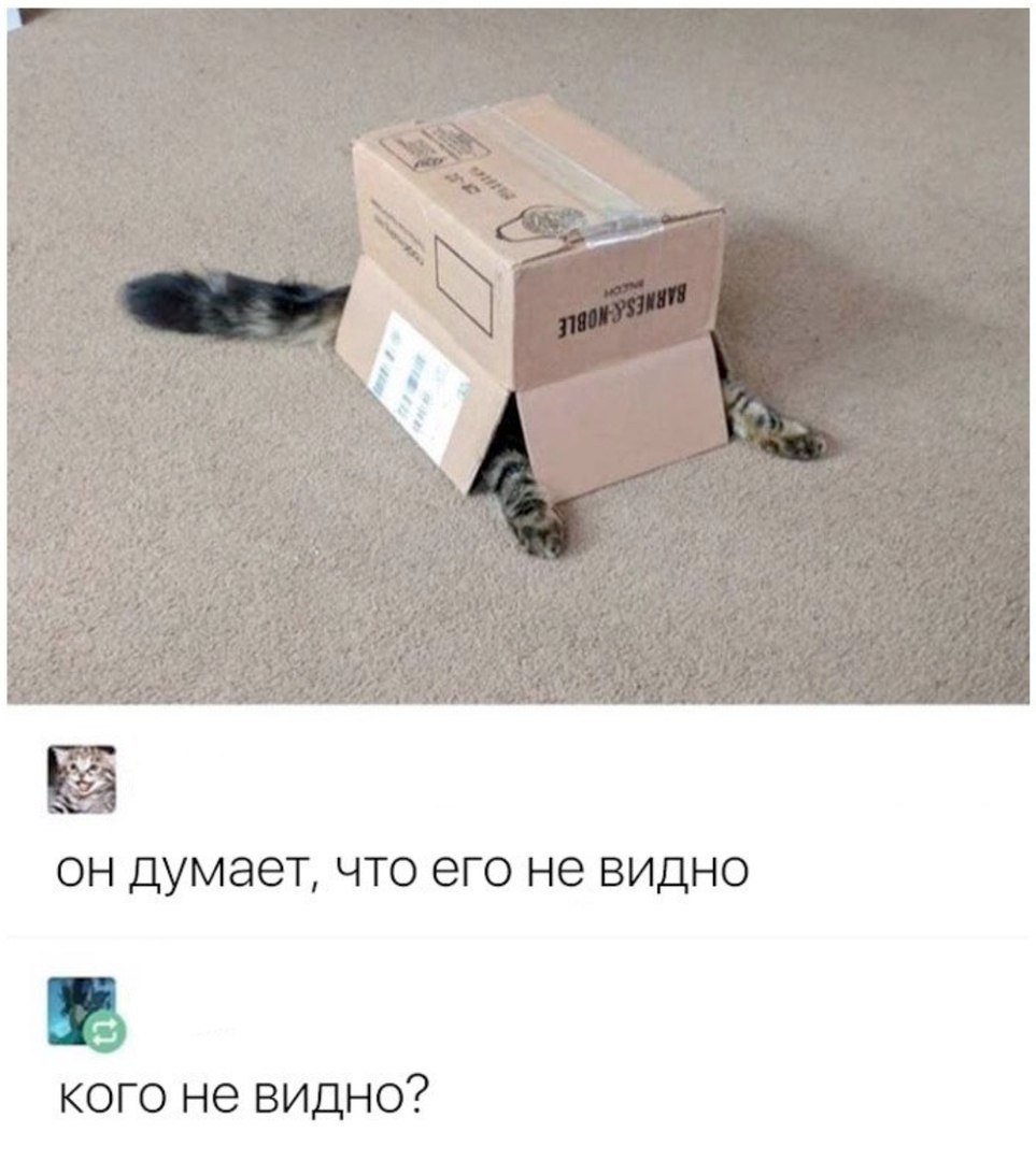 ОН ДУМЭЭТ ЧТО ЭГО не ВИДНО кого не видно