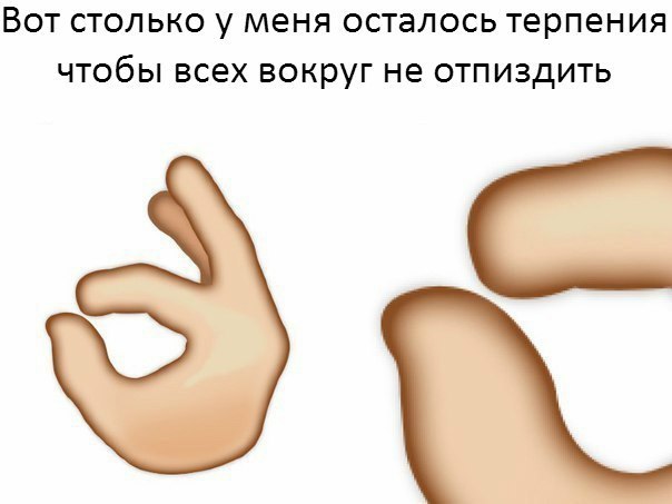 ВОТ СТОЛЬКО У меня осталось терпения ЧТОбЫ ВСЕХ ВОКРУГ не ОТПИЗдИТЬ