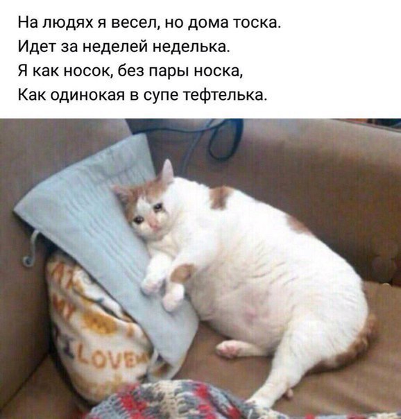 На людях я весел но дома тоска Идет за неделей недепька Я как носок без пары носка Как одинокая в супе тефтелька