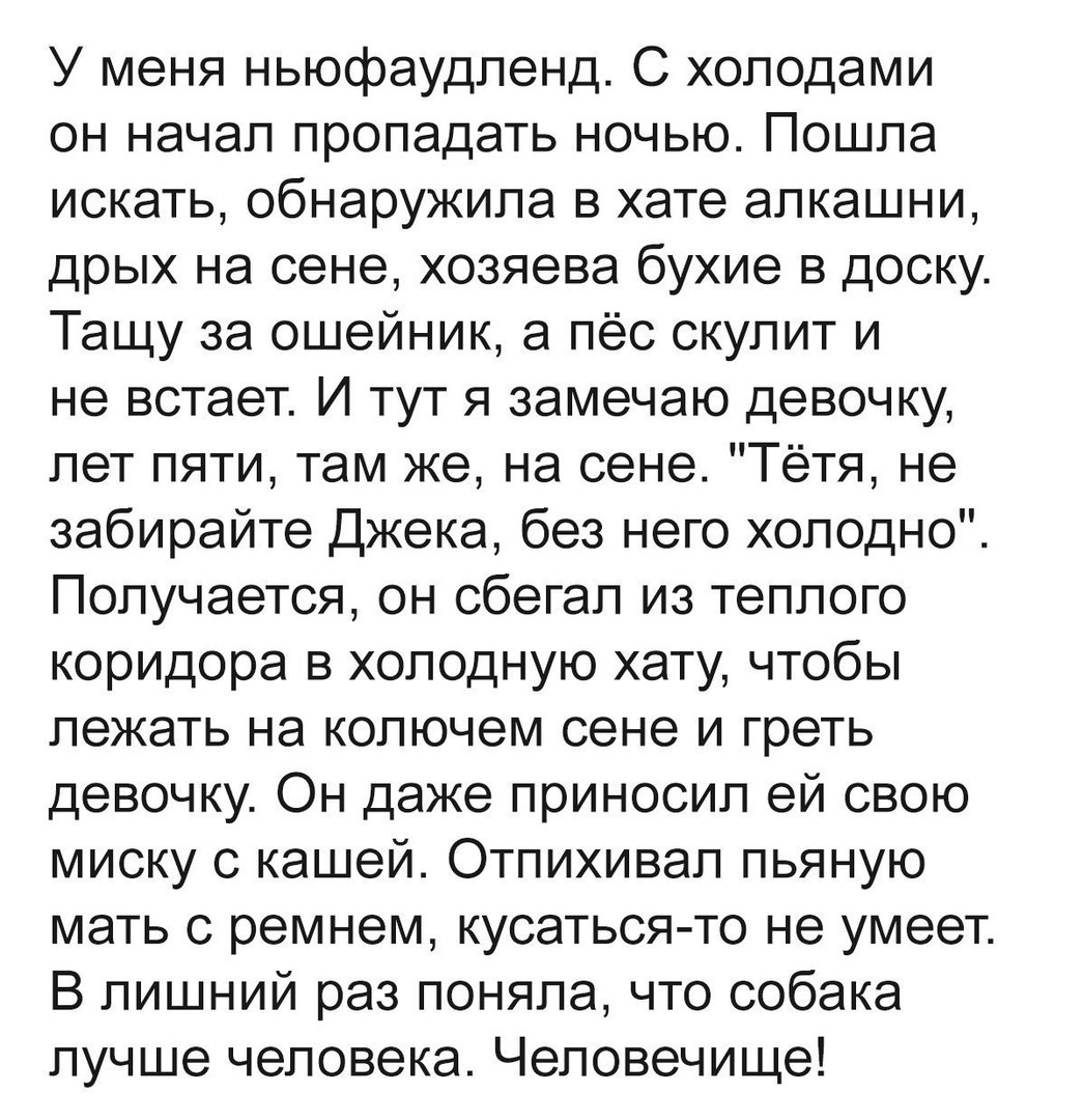 У меня ньюфаудленд С холодами он начал пропадать ночью Пошла искать обнаружила в хате алкашни дрых на сене хозяева бухие в доску Тащу за ошейник а пёс скупит и не встает И тут я замечаю девочку лет пяти там же на сене Тётя не забирайте Джека без него холодно Получается он сбегал из теплого коридора в холодную хату чтобы лежать на колючем сене и греть девочку Он даже приносил ей свою миску с кашей 