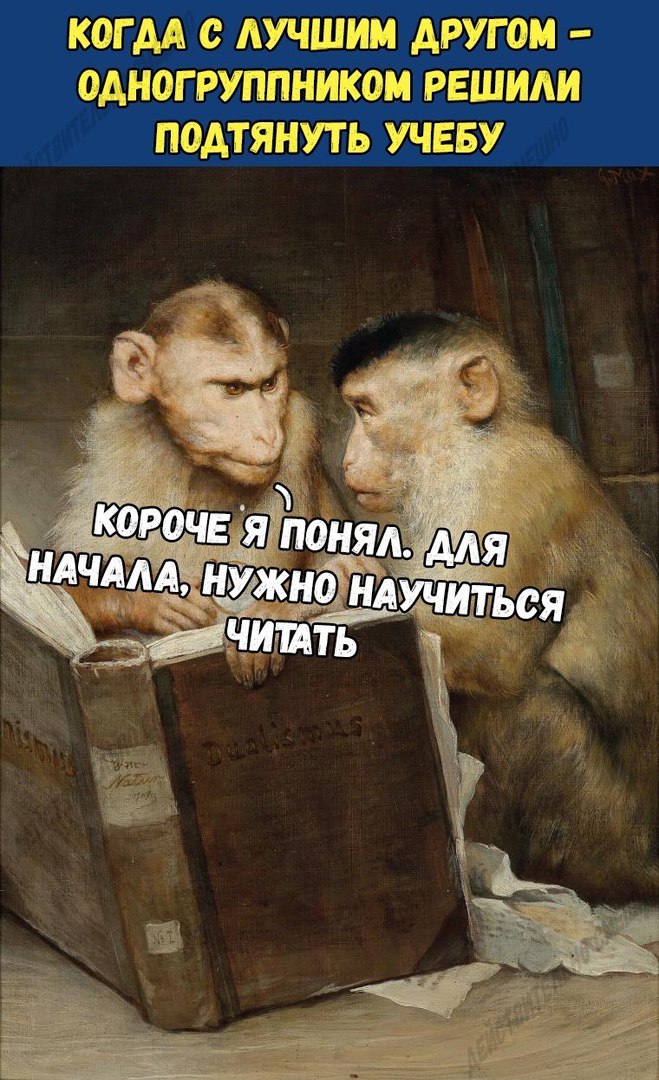 КОГ М с ЛУЧШИМ ДРУГОМ ОДНОГРУППНИКОМ РЕШИАИ ПОДТЯНУТЬ УЧЕБУ
