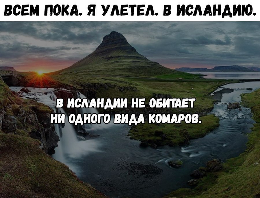 ВСЕМ ПОКА Я УАЕТЕА В ИСААНАИЮ В ИСААНАИИ НЕ ОБИШЕТ НИ ОАНОГ О ВИДА КОМАРОВ
