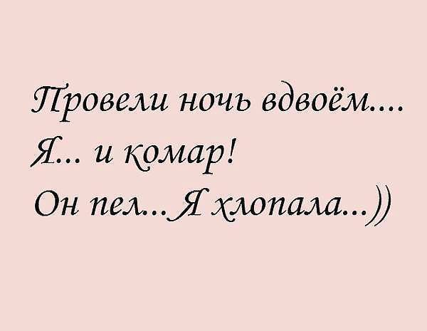 УТРОВВЛЪ НОЧЬ вдвоём Я и комар Он пелЯхлопала