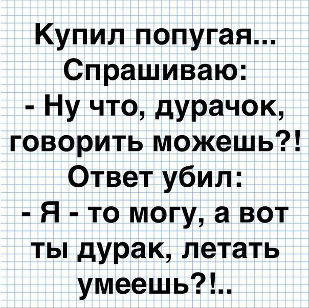Купил попугая Спрашиваю Ну что дурачок говорить можешь Ответ убил Я то могу а вот ты дурак летать умеешь