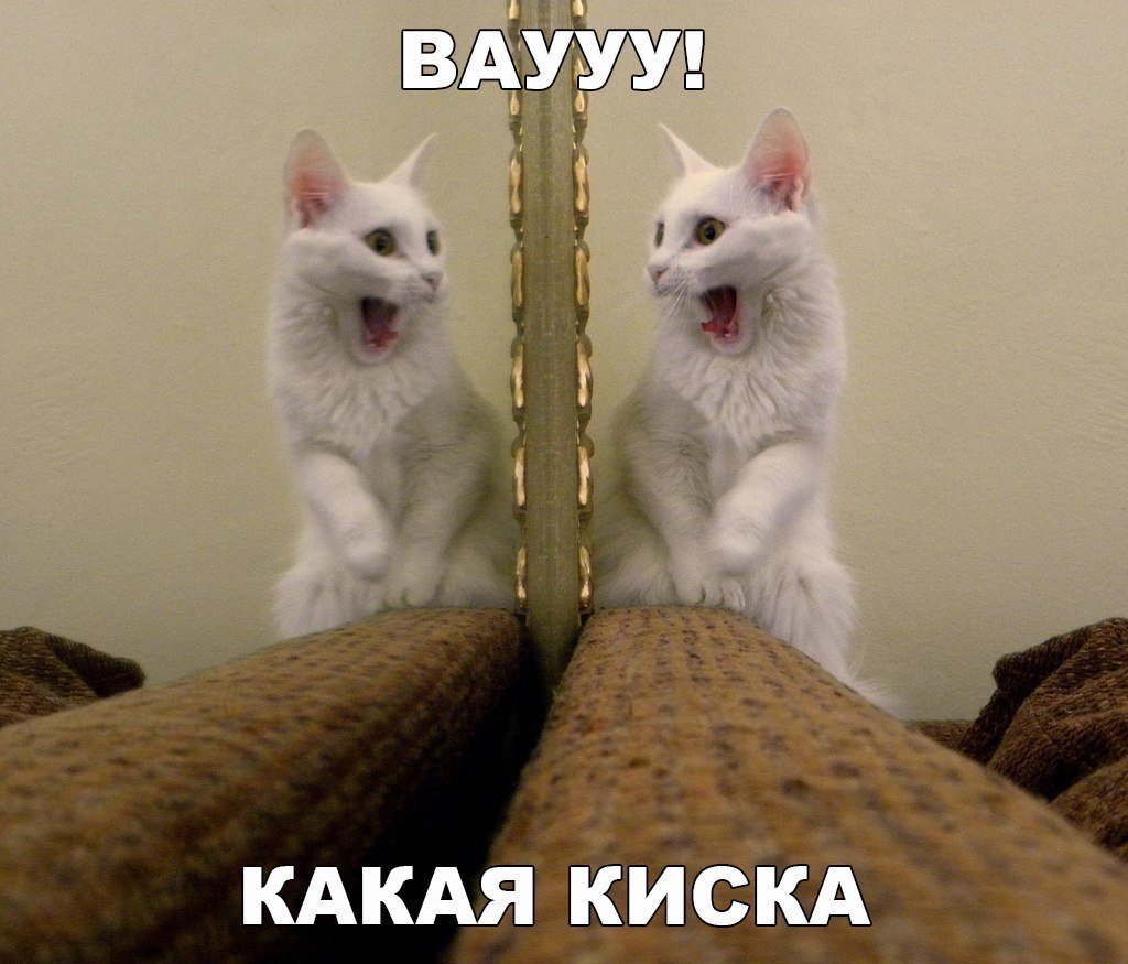 ЗАШУУ