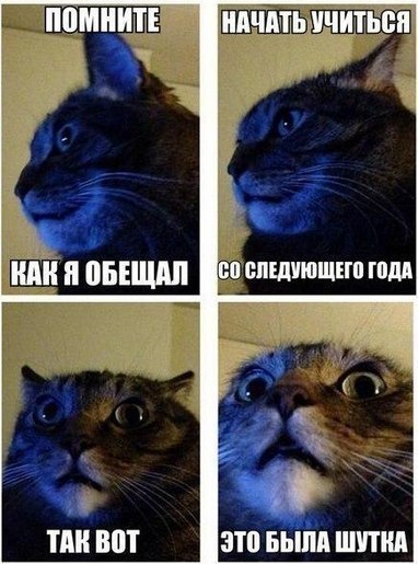 ППМНИГГЕ МЧПЩЫЧИЪЬЕИ тии вот эти Бьнш шпиц