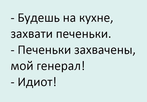 Будешь на кухне захвати печеньки Печеньки захвачены мой генерал Идиот