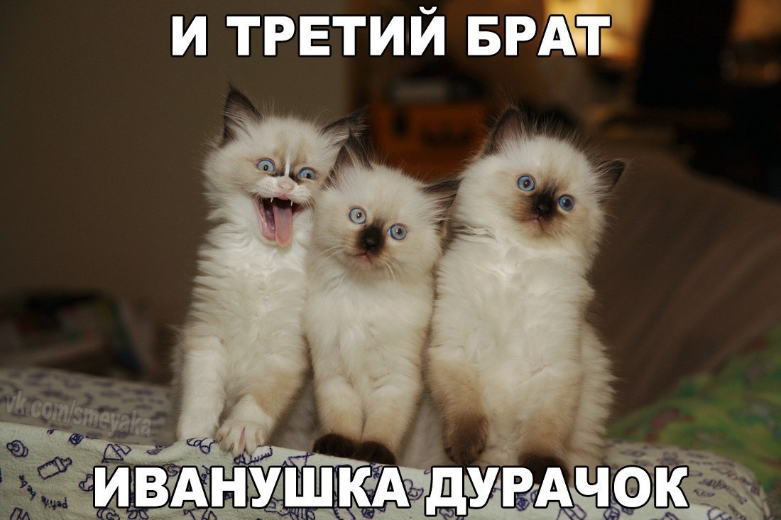 и ТРЕТИЙ