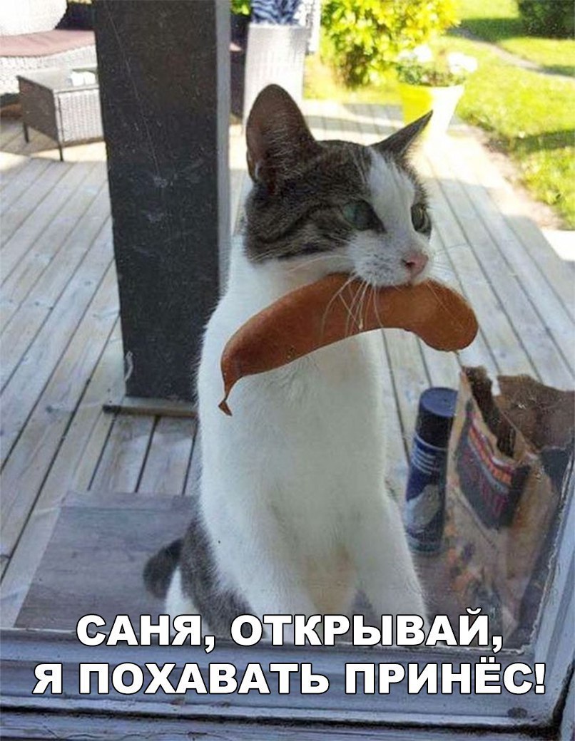 Анёіъ открыівАи я_ ПОХАВАТЬ принвш