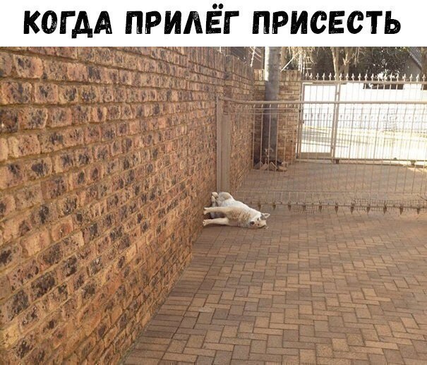КОГ АА ПРИАЁГ ПРИСЕСТЬ