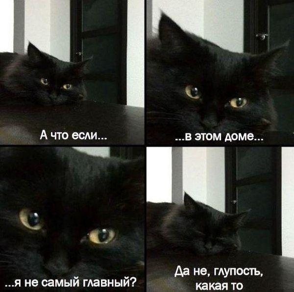 19 В ЭТОМ доме Д _ _ Да не тупость я не самым главным какая то