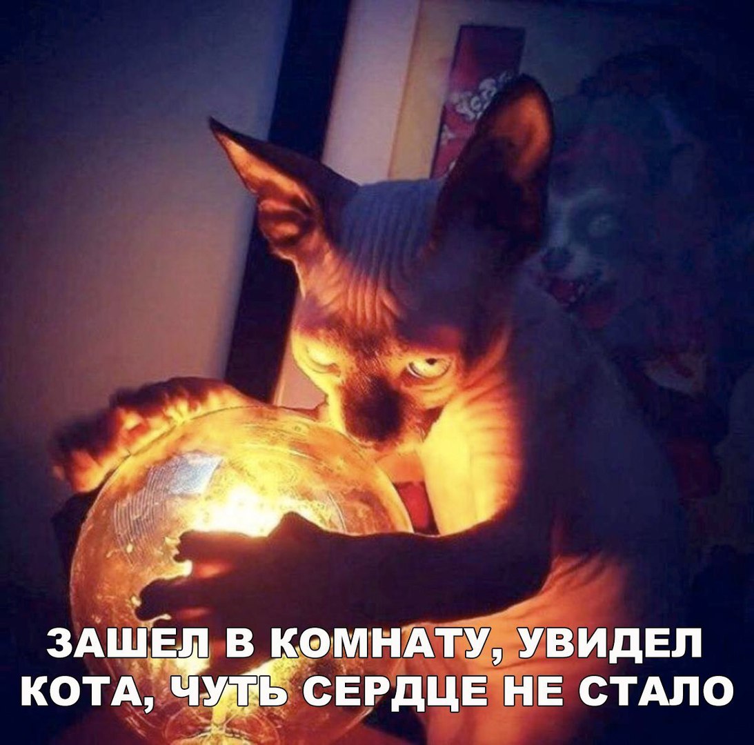 Ел в камндЁвидЕп котд чуть СЕРДЦЕ НЕ стдло гп