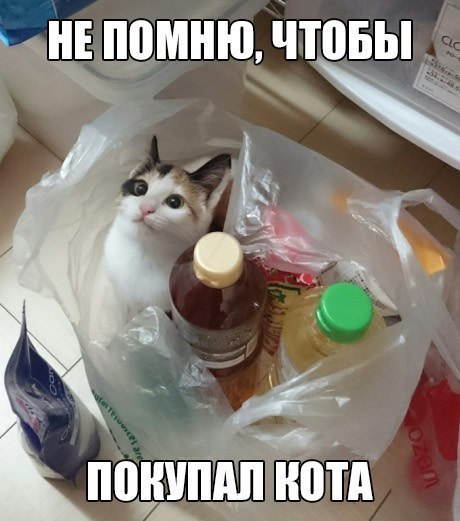 не помню Что вы