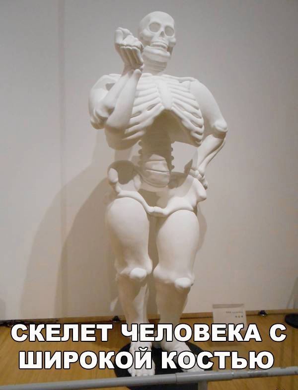 п скелет чвлдввкд с широкой кэстью