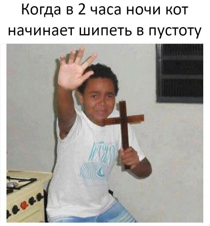 Когда в 2 часа ночи кот начинает шипеть в пустоту