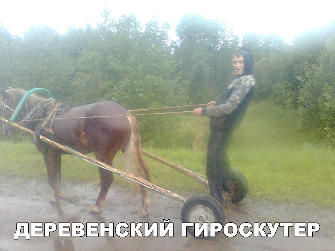 ЗЁЁЕВЕНСКИЙ ГЙРОСКУТЕР